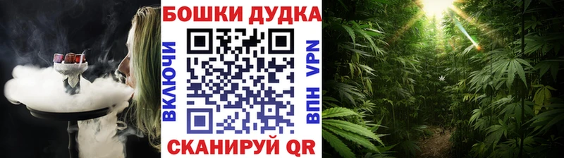 Бошки Шишки семена  Купить закладки  Полевской 